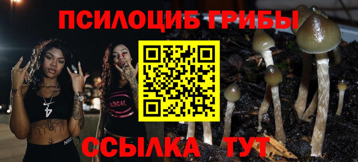 Галлюциногенные грибы прущие грибы Сафоново