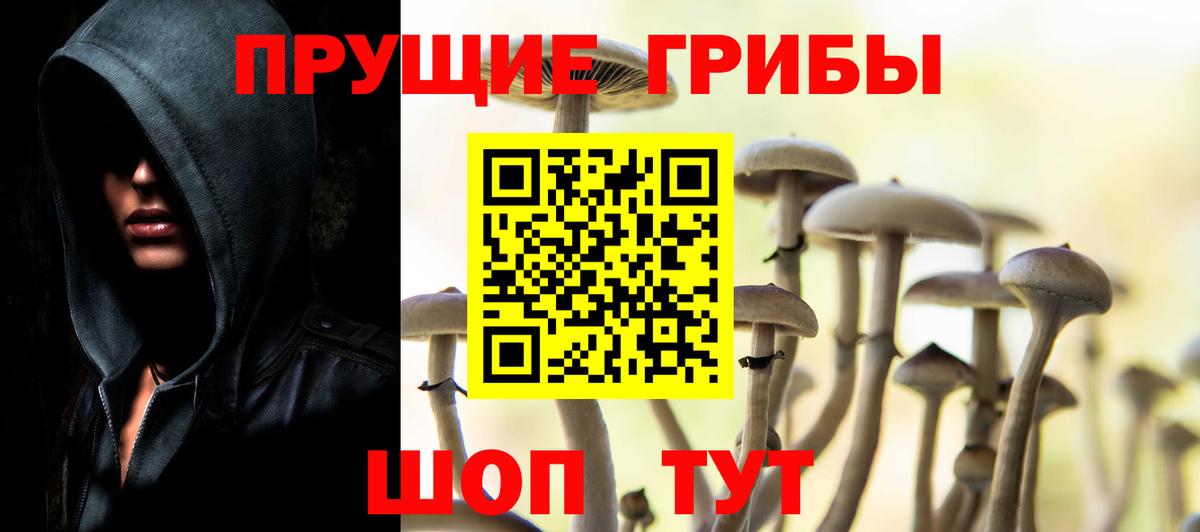 Сафоново  Псилоцибиновые грибы Magic Shrooms  Вход с VPN  Галлюциногенные грибы прущие грибы 